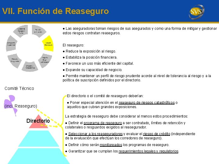 VII. Función de Reaseguro ● Las aseguradoras toman riesgos de sus asegurados y como