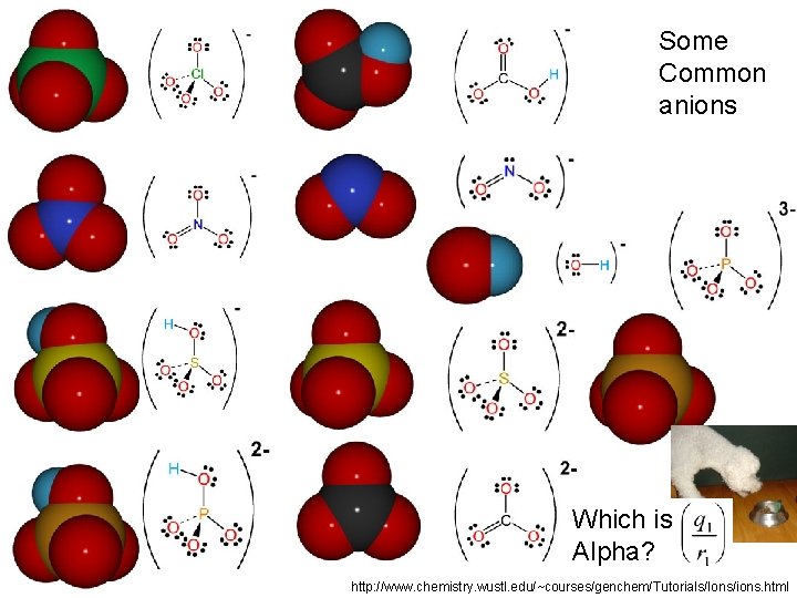 Some Common anions Which is Alpha? http: //www. chemistry. wustl. edu/~courses/genchem/Tutorials/Ions/ions. html 