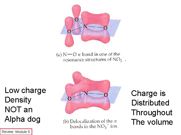 Low charge Density NOT an Alpha dog Review: Module 5 Charge is Distributed Throughout