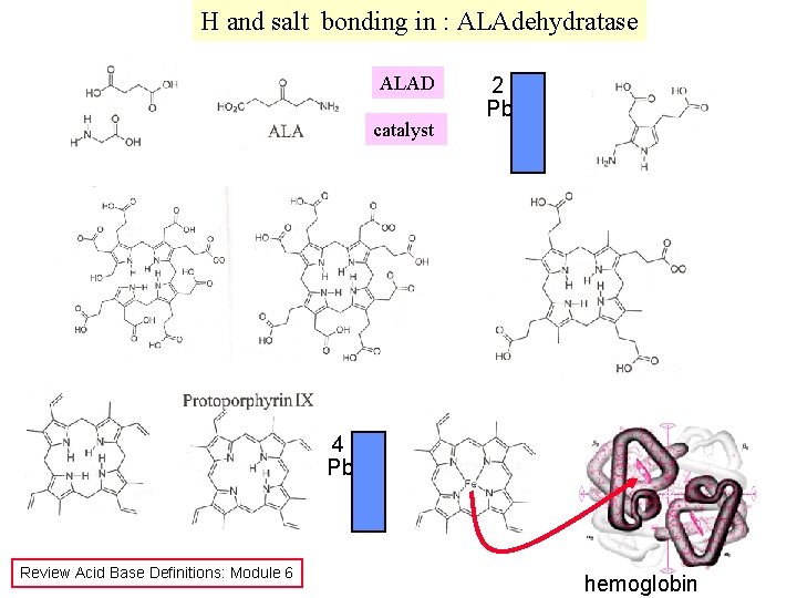 H and salt bonding in : ALAdehydratase ALAD catalyst 2 Pb 4 Pb Review