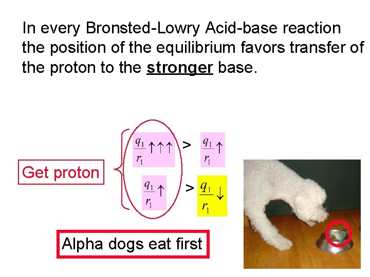 In every Bronsted-Lowry Acid-base reaction the position of the equilibrium favors transfer of the