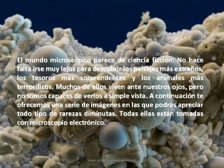 El mundo microscópico parece de ciencia ficción. No hace falta irse muy lejos para