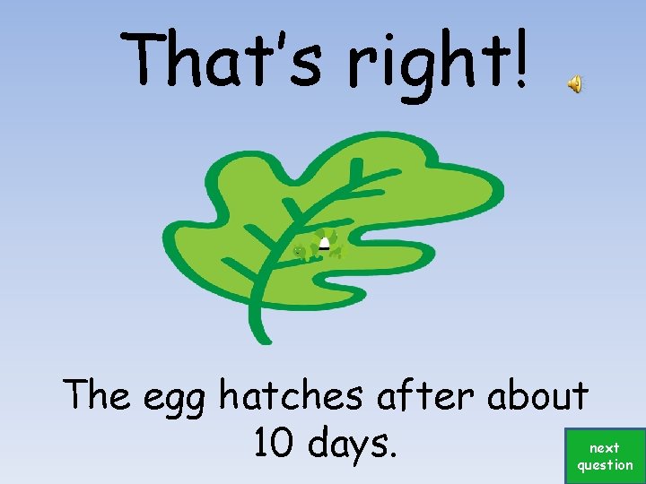 That’s right! The egg hatches after about 10 days. next question 
