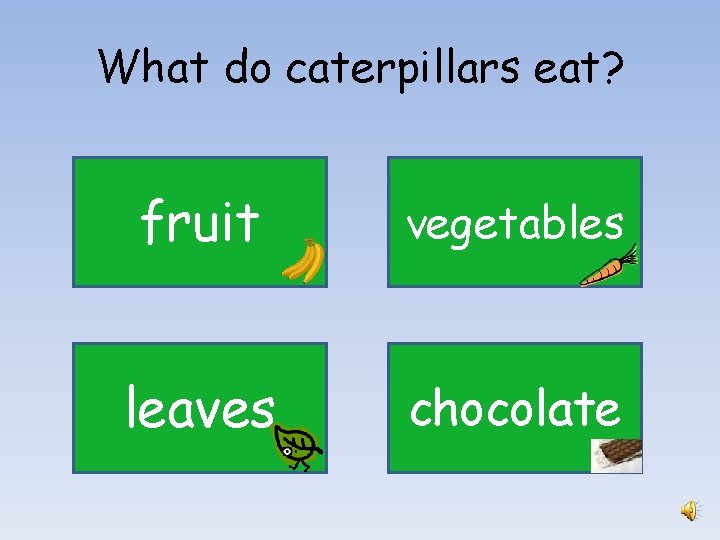 What do caterpillars eat? fruit vegetables leaves chocolate 