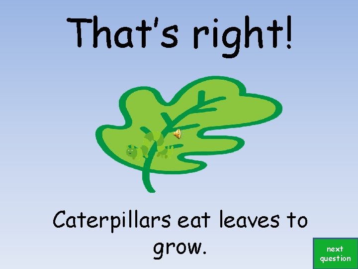 That’s right! Caterpillars eat leaves to grow. next question 