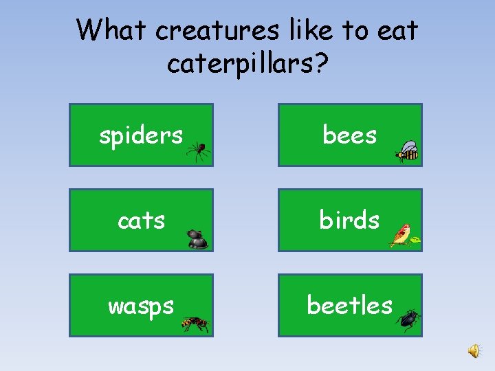 What creatures like to eat caterpillars? spiders bees cats birds wasps beetles 