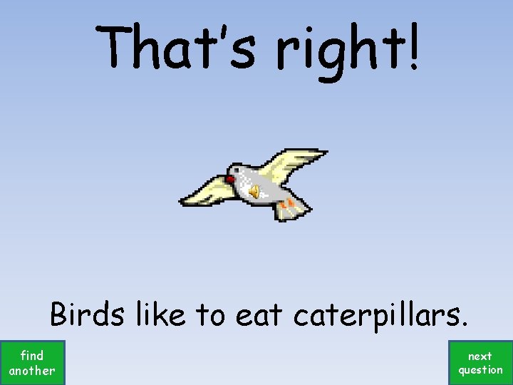That’s right! Birds like to eat caterpillars. find another next question 