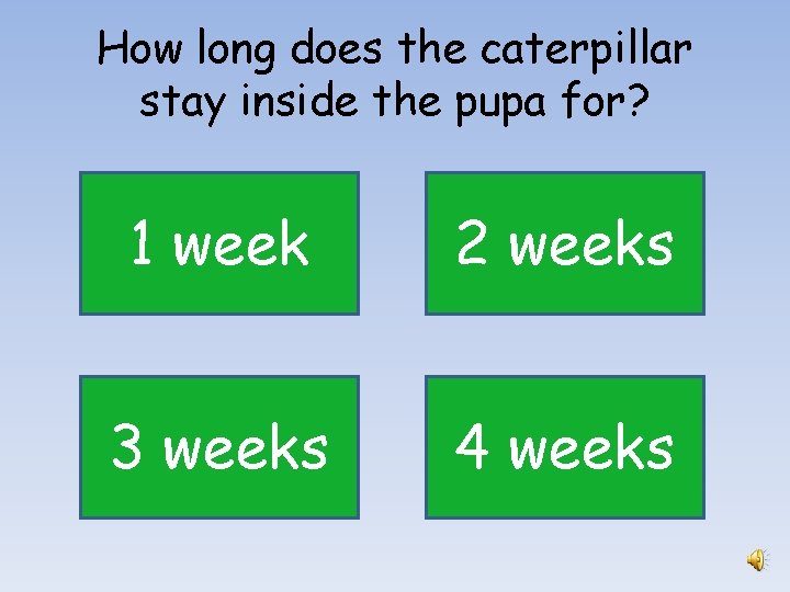 How long does the caterpillar stay inside the pupa for? 1 week 2 weeks