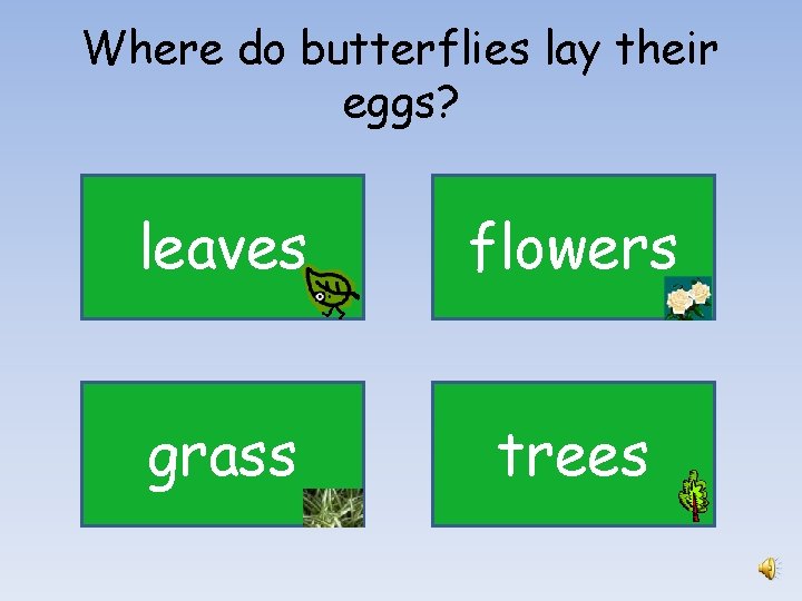 Where do butterflies lay their eggs? leaves flowers grass trees 
