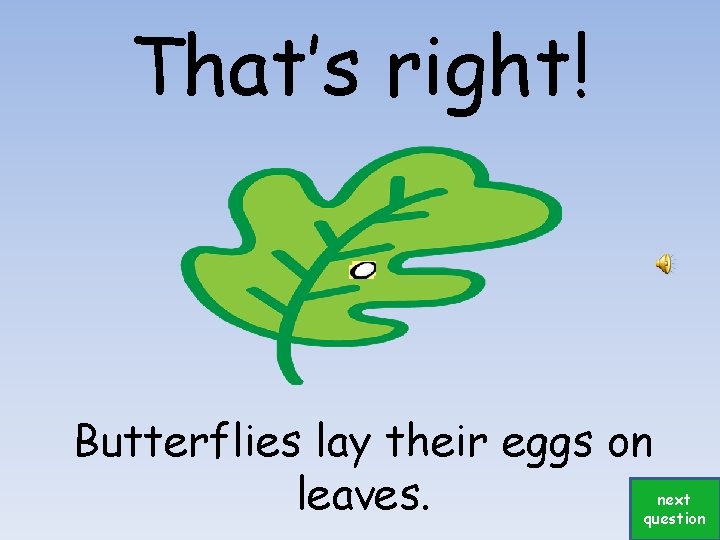That’s right! Butterflies lay their eggs on leaves. next question 