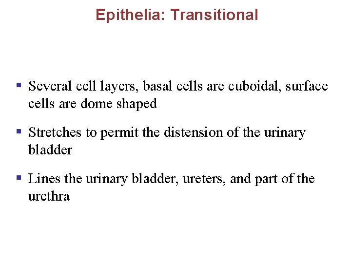 Epithelia: Transitional § Several cell layers, basal cells are cuboidal, surface cells are dome