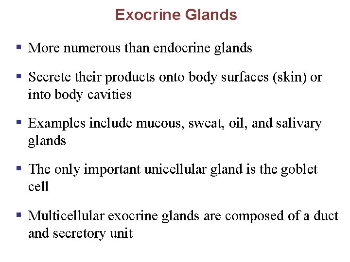Exocrine Glands § More numerous than endocrine glands § Secrete their products onto body