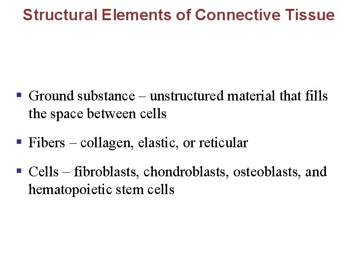 Structural Elements of Connective Tissue § Ground substance – unstructured material that fills the