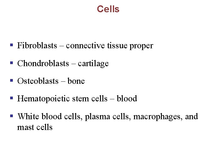 Cells § Fibroblasts – connective tissue proper § Chondroblasts – cartilage § Osteoblasts –