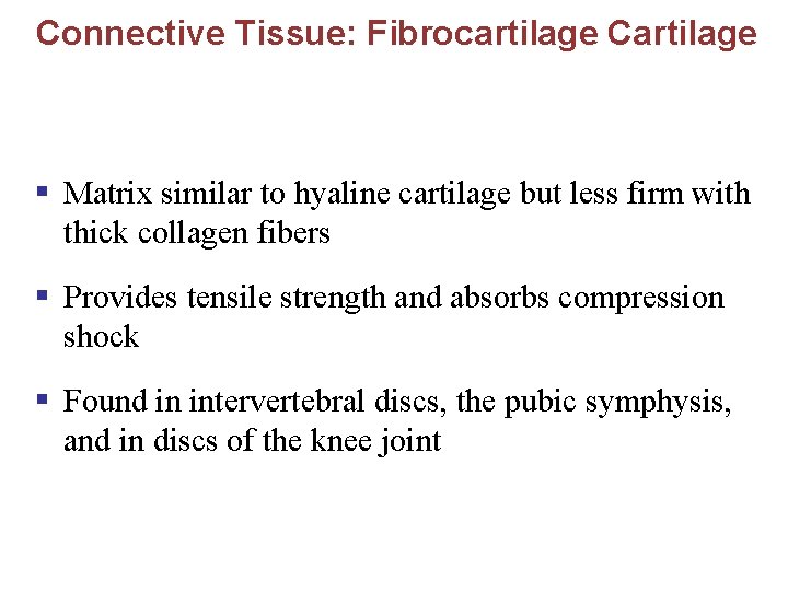 Connective Tissue: Fibrocartilage Cartilage § Matrix similar to hyaline cartilage but less firm with