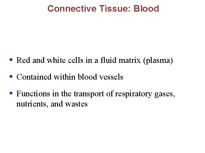 Connective Tissue: Blood § Red and white cells in a fluid matrix (plasma) §