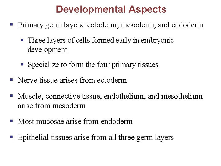 Developmental Aspects § Primary germ layers: ectoderm, mesoderm, and endoderm § Three layers of