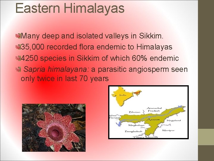 Eastern Himalayas Many deep and isolated valleys in Sikkim. 35, 000 recorded flora endemic