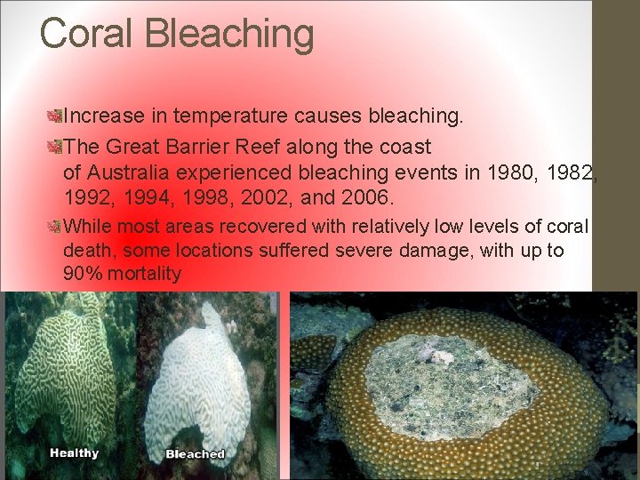 Coral Bleaching Increase in temperature causes bleaching. The Great Barrier Reef along the coast