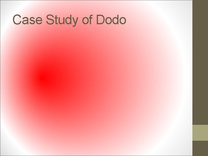 Case Study of Dodo 