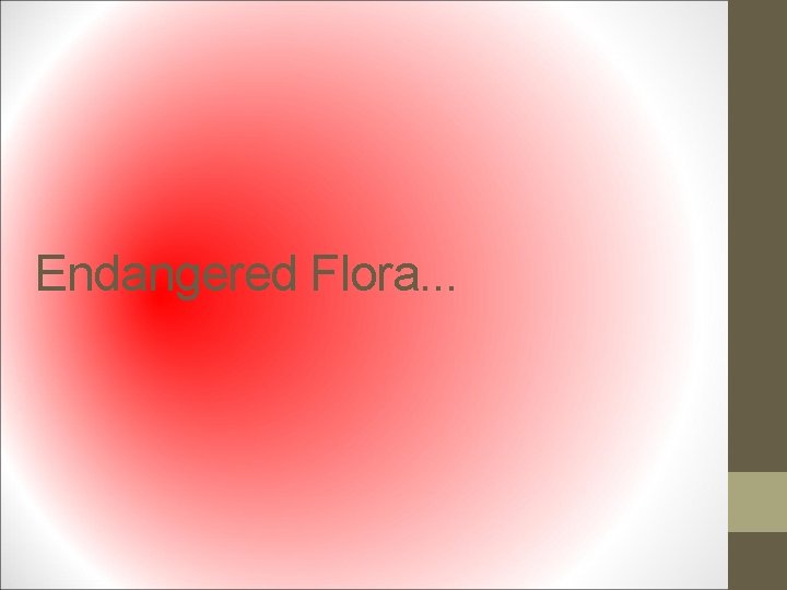 Endangered Flora. . . 