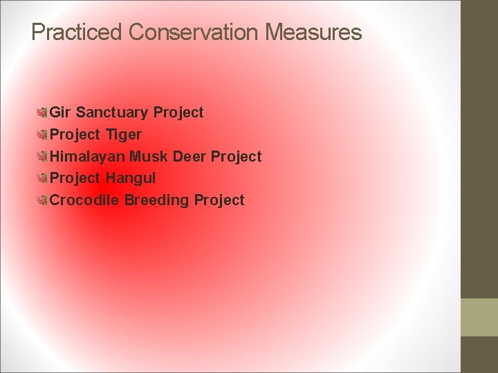 Practiced Conservation Measures Gir Sanctuary Project Tiger Himalayan Musk Deer Project Hangul Crocodile Breeding