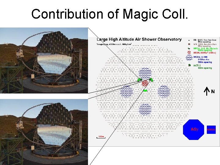 Contribution of Magic Coll. 