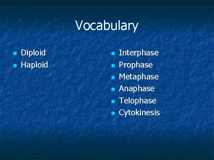 Vocabulary n n Diploid Haploid n n n Interphase Prophase Metaphase Anaphase Telophase Cytokinesis