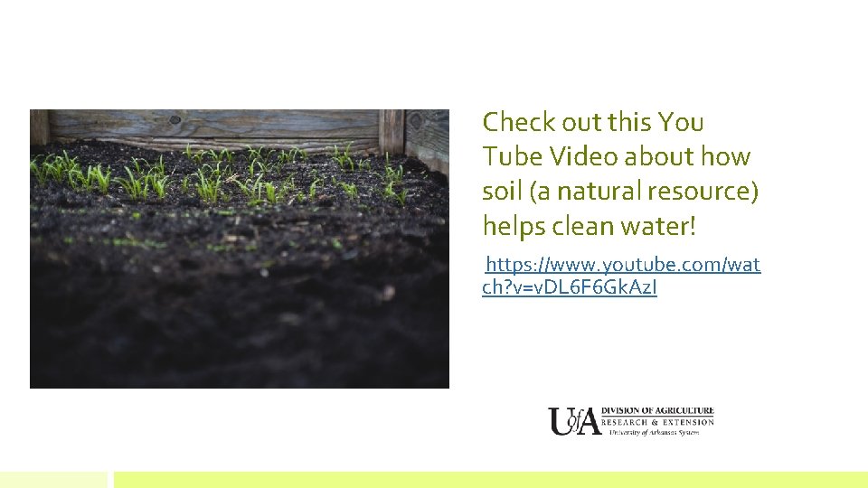 Check out this You Tube Video about how soil (a natural resource) helps clean