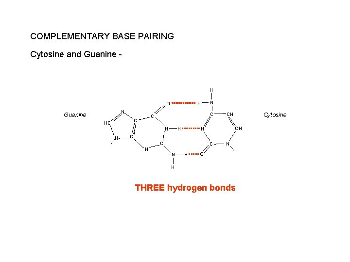 COMPLEMENTARY BASE PAIRING Cytosine and Guanine - H N Guanine C C C HC