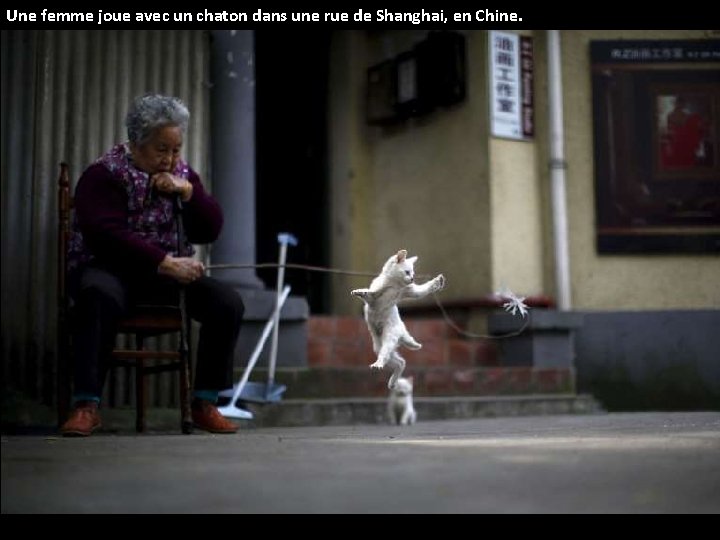 Une femme joue avec un chaton dans une rue de Shanghai, en Chine. 