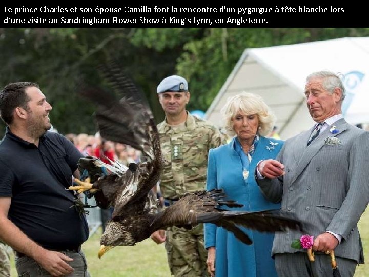 Le prince Charles et son épouse Camilla font la rencontre d'un pygargue à tête