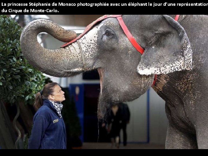 La princesse Stéphanie de Monaco photographiée avec un éléphant le jour d’une représentation du