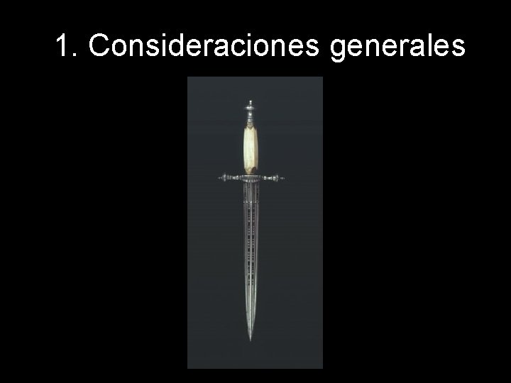 1. Consideraciones generales 