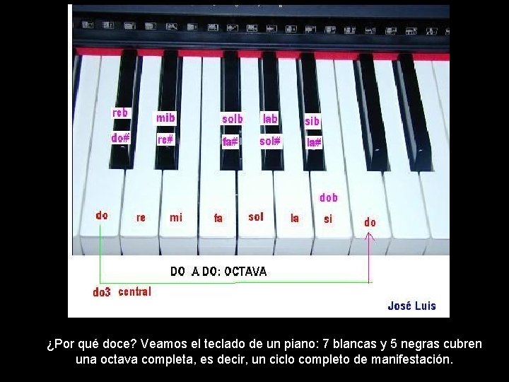 ¿Por qué doce? Veamos el teclado de un piano: 7 blancas y 5 negras