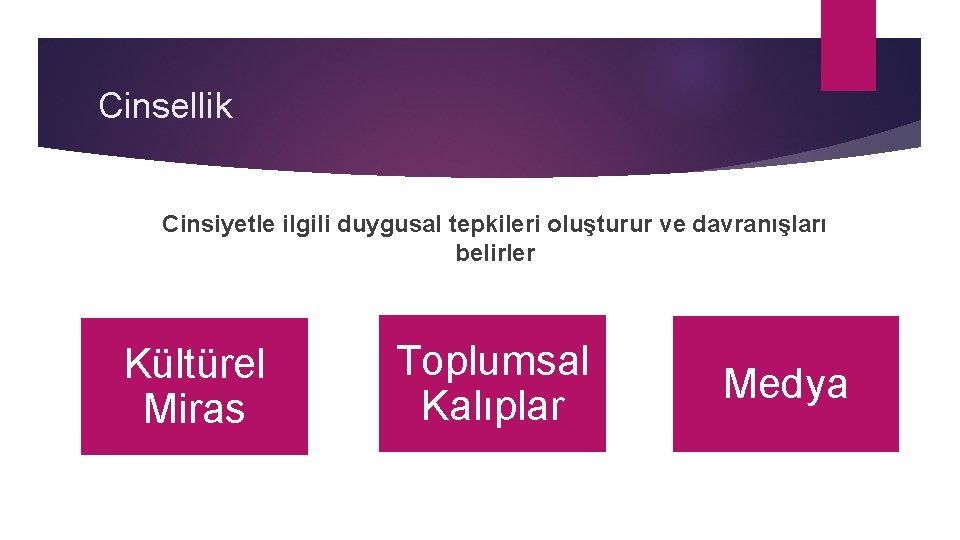 Cinsellik Cinsiyetle ilgili duygusal tepkileri oluşturur ve davranışları belirler Kültürel Miras Toplumsal Kalıplar Medya