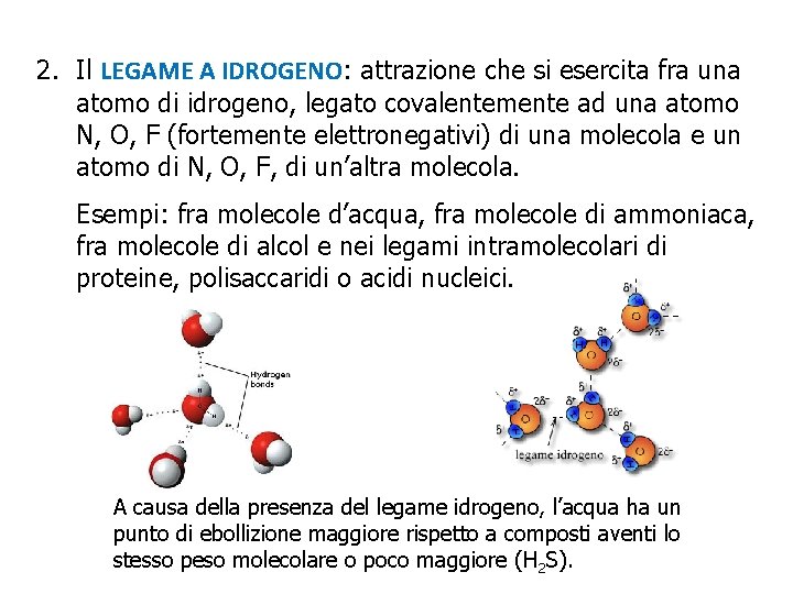 2. Il LEGAME A IDROGENO: attrazione che si esercita fra una atomo di idrogeno,