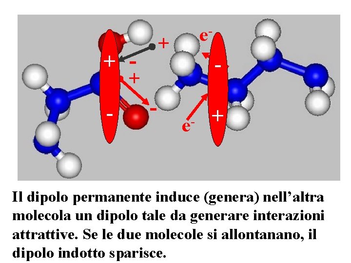e- + + - - e- + Il dipolo permanente induce (genera) nell’altra molecola