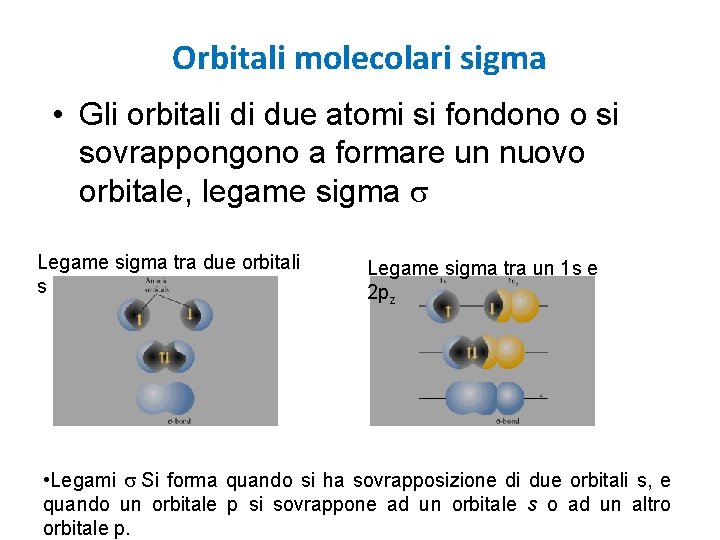 Orbitali molecolari sigma • Gli orbitali di due atomi si fondono o si sovrappongono