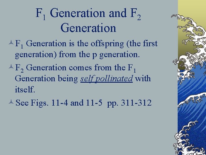 F 1 Generation and F 2 Generation ©F 1 Generation is the offspring (the