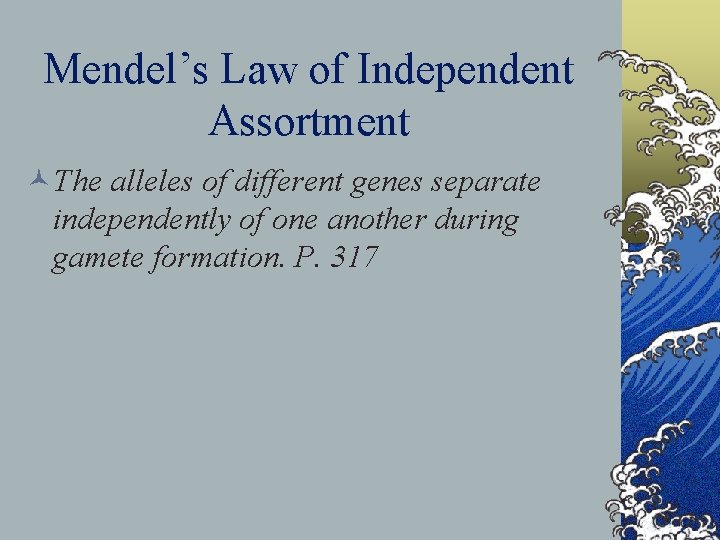 Mendel’s Law of Independent Assortment ©The alleles of different genes separate independently of one