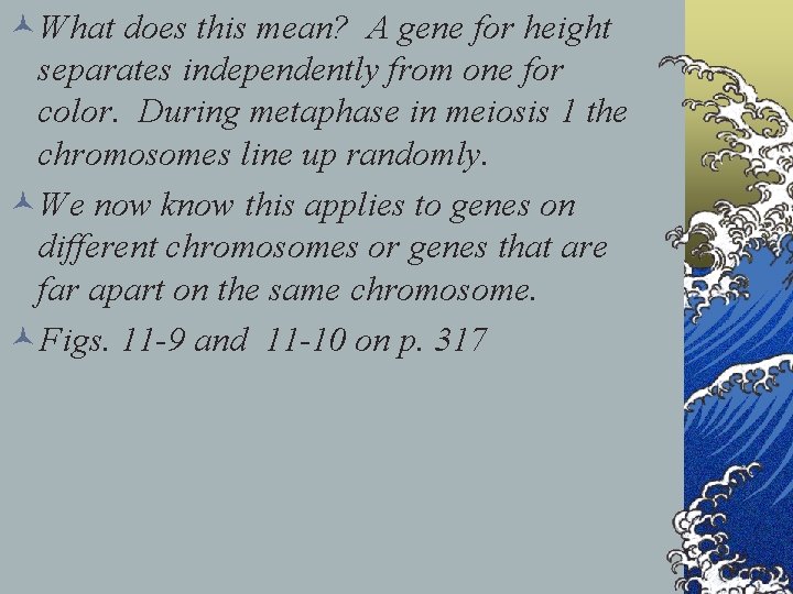 ©What does this mean? A gene for height separates independently from one for color.