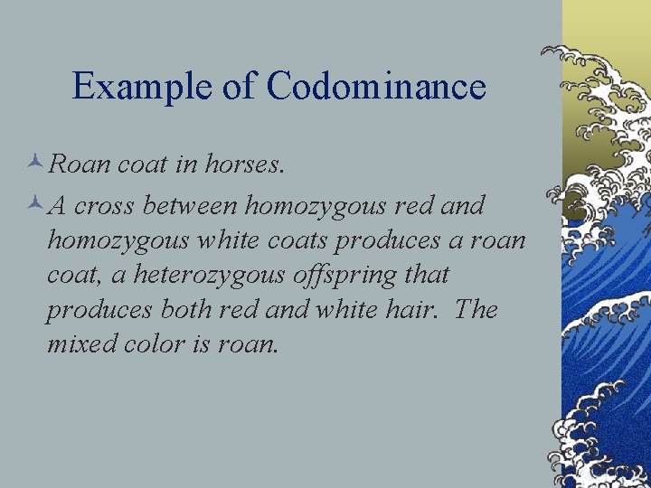 Example of Codominance ©Roan coat in horses. ©A cross between homozygous red and homozygous