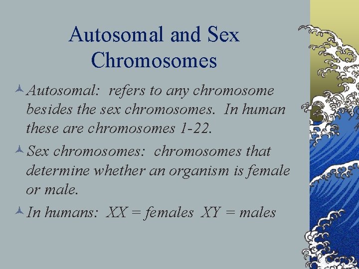 Autosomal and Sex Chromosomes ©Autosomal: refers to any chromosome besides the sex chromosomes. In