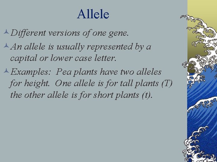 Allele ©Different versions of one gene. ©An allele is usually represented by a capital