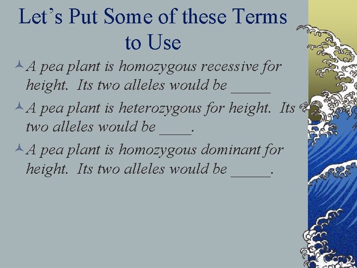 Let’s Put Some of these Terms to Use ©A pea plant is homozygous recessive