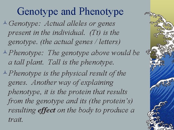 Genotype and Phenotype ©Genotype: Actual alleles or genes present in the individual. (Tt) is