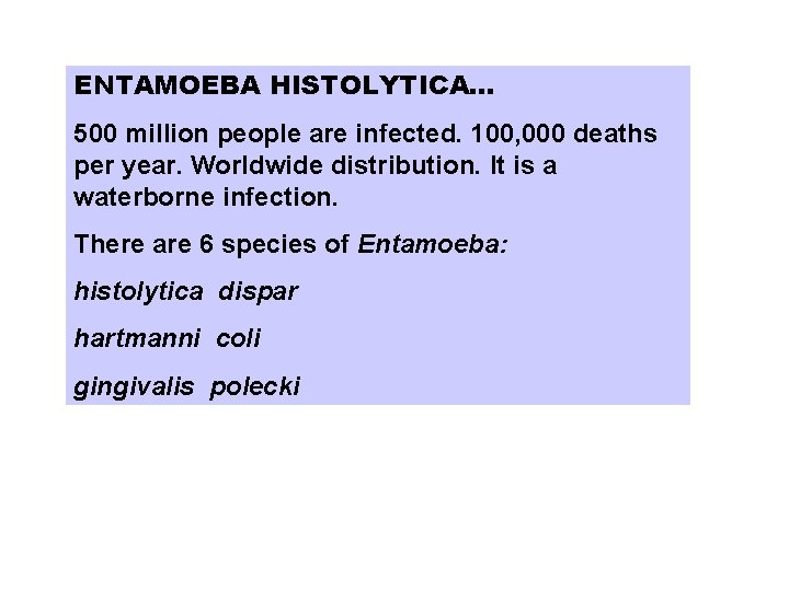 ENTAMOEBA HISTOLYTICA… 500 million people are infected. 100, 000 deaths per year. Worldwide distribution.
