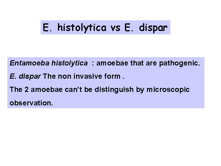 E. histolytica vs E. dispar Entamoeba histolytica : amoebae that are pathogenic. E. dispar