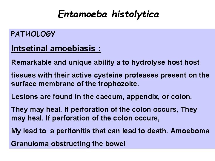Entamoeba histolytica PATHOLOGY Intsetinal amoebiasis : Remarkable and unique ability a to hydrolyse host